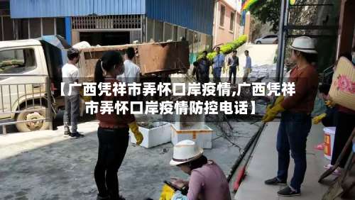 【广西凭祥市弄怀口岸疫情,广西凭祥市弄怀口岸疫情防控电话】-第3张图片