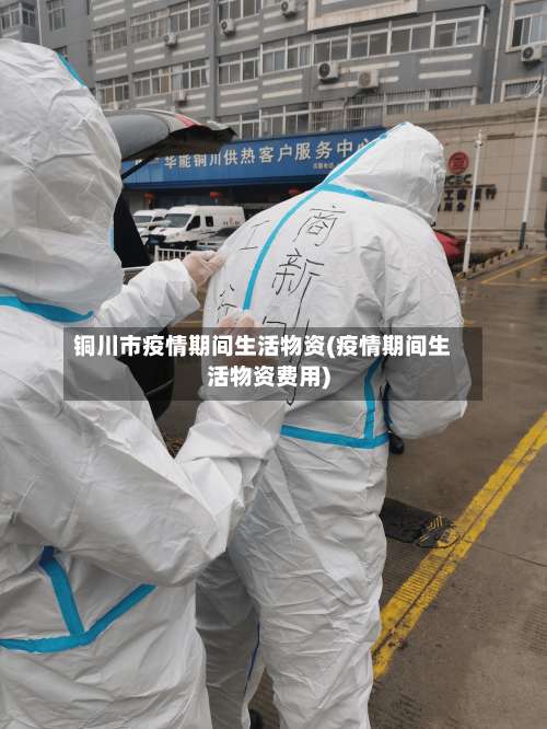 铜川市疫情期间生活物资(疫情期间生活物资费用)-第2张图片