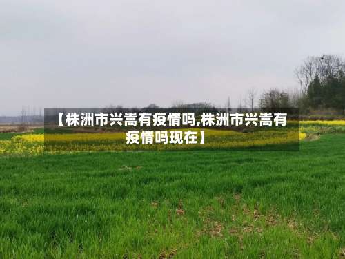 【株洲市兴嵩有疫情吗,株洲市兴嵩有疫情吗现在】