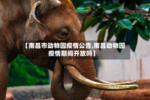 【南昌市动物园疫情公告,南昌动物园疫情期间开放吗】