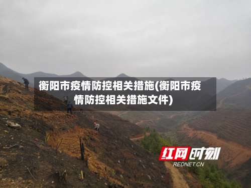 衡阳市疫情防控相关措施(衡阳市疫情防控相关措施文件)