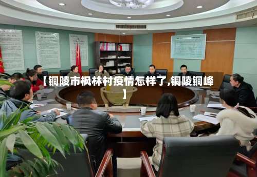 【铜陵市枫林村疫情怎样了,铜陵铜峰】