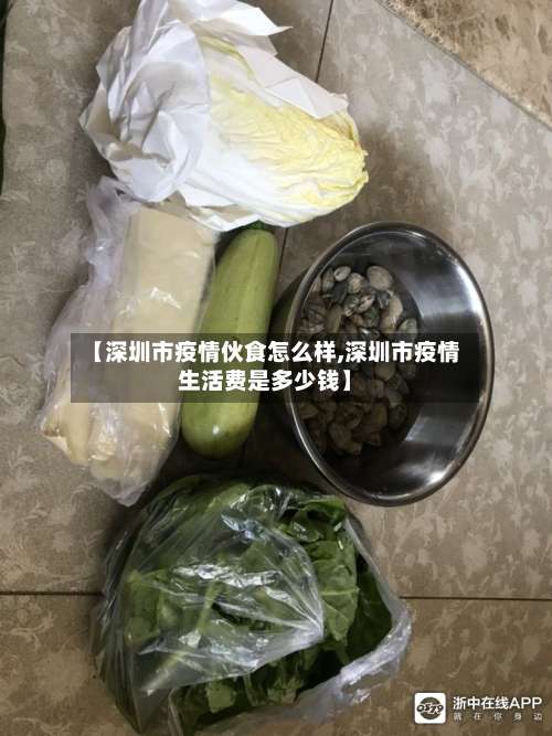【深圳市疫情伙食怎么样,深圳市疫情生活费是多少钱】