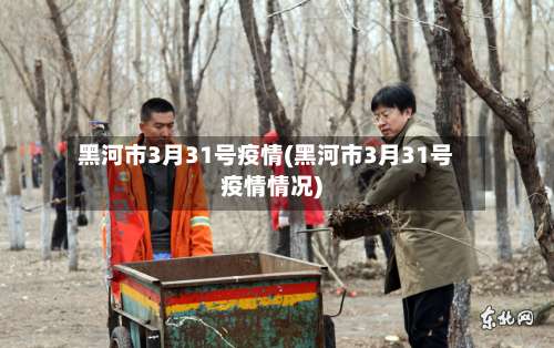 黑河市3月31号疫情(黑河市3月31号疫情情况)