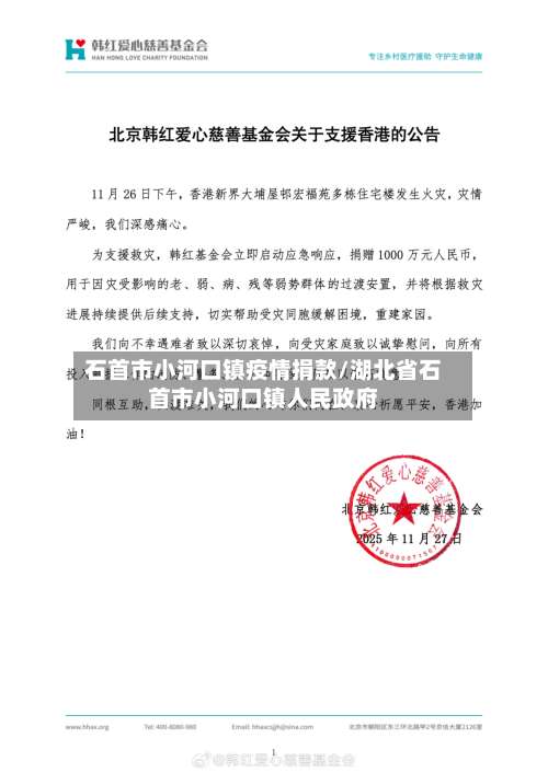 石首市小河口镇疫情捐款/湖北省石首市小河口镇人民政府-第2张图片