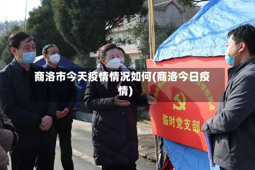 商洛市今天疫情情况如何(商洛今日疫情)-第2张图片