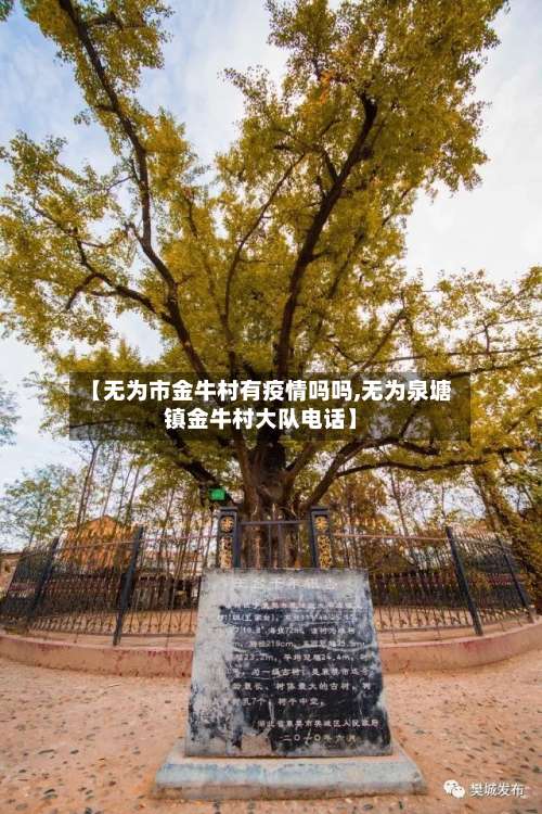 【无为市金牛村有疫情吗吗,无为泉塘镇金牛村大队电话】