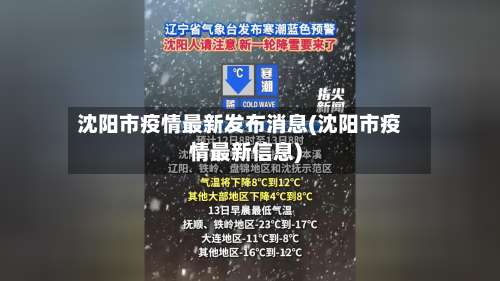 沈阳市疫情最新发布消息(沈阳市疫情最新信息)