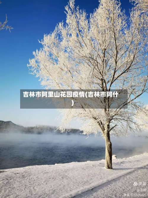 吉林市阿里山花园疫情(吉林市阿什)