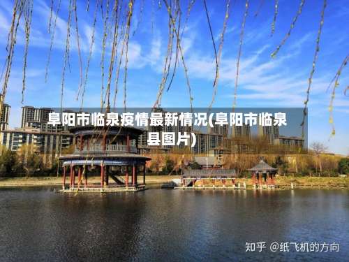 阜阳市临泉疫情最新情况(阜阳市临泉县图片)-第2张图片