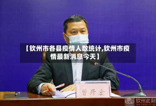 【钦州市各县疫情人数统计,钦州市疫情最新消息今天】