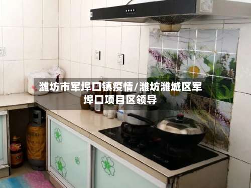 潍坊市军埠口镇疫情/潍坊潍城区军埠口项目区领导