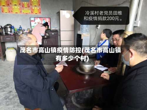 茂名市高山镇疫情防控(茂名市高山镇有多少个村)