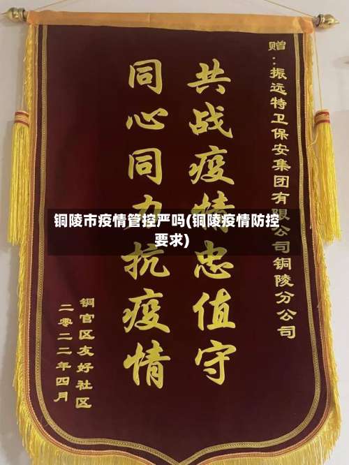 铜陵市疫情管控严吗(铜陵疫情防控要求)