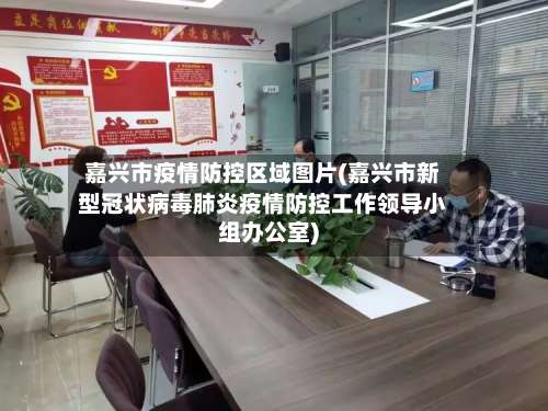 嘉兴市疫情防控区域图片(嘉兴市新型冠状病毒肺炎疫情防控工作领导小组办公室)