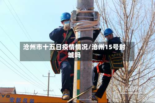 沧州市十五日疫情情况/沧州15号封城吗