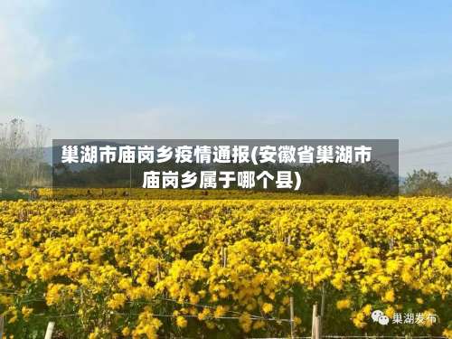 巢湖市庙岗乡疫情通报(安徽省巢湖市庙岗乡属于哪个县)