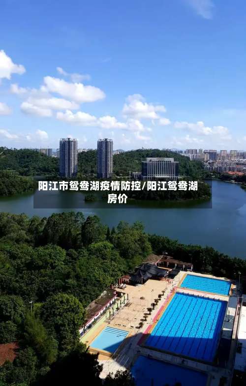 阳江市鸳鸯湖疫情防控/阳江鸳鸯湖房价