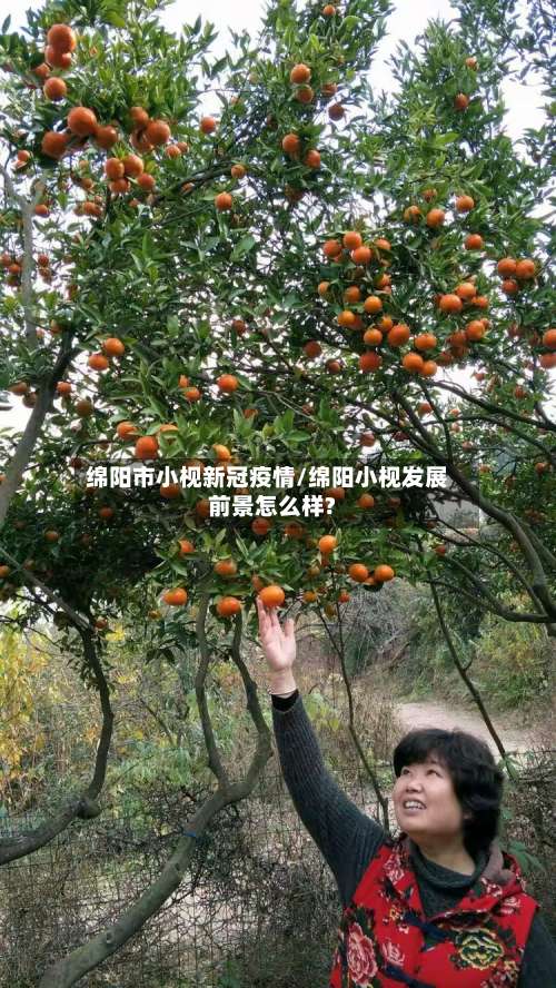 绵阳市小枧新冠疫情/绵阳小枧发展前景怎么样?-第2张图片