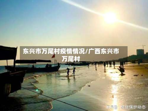 东兴市万尾村疫情情况/广西东兴市万尾村