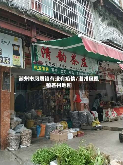 潮州市凤凰镇有没有疫情/潮州凤凰镇各村地图