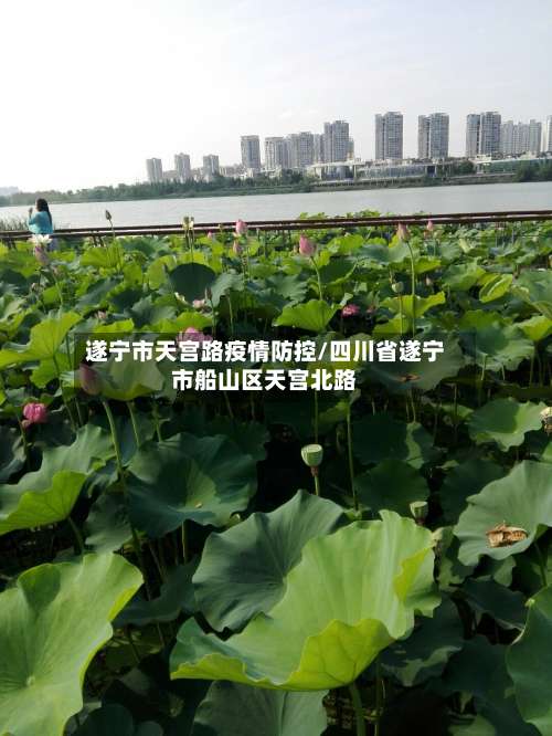 遂宁市天宫路疫情防控/四川省遂宁市船山区天宫北路