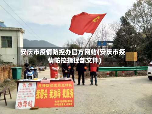 安庆市疫情防控办官方网站(安庆市疫情防控指挥部文件)-第2张图片