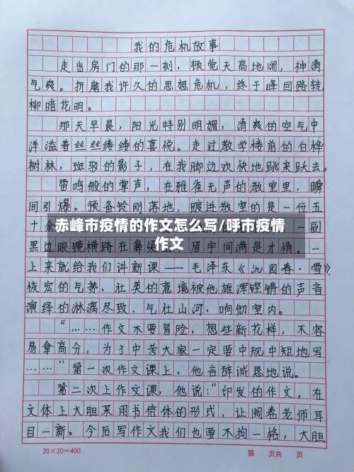 赤峰市疫情的作文怎么写/呼市疫情作文-第3张图片