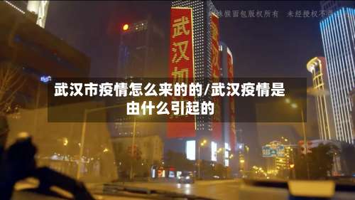 武汉市疫情怎么来的的/武汉疫情是由什么引起的