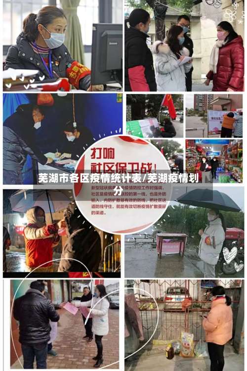 芜湖市各区疫情统计表/芜湖疫情划分