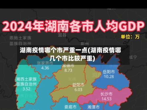 湖南疫情哪个市严重一点(湖南疫情哪几个市比较严重)
