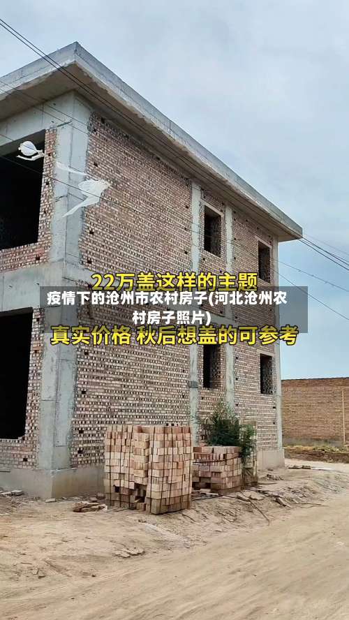 疫情下的沧州市农村房子(河北沧州农村房子照片)