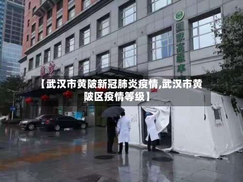 【武汉市黄陂新冠肺炎疫情,武汉市黄陂区疫情等级】