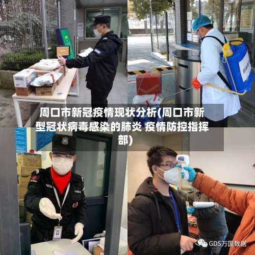 周口市新冠疫情现状分析(周口市新型冠状病毒感染的肺炎 疫情防控指挥部)