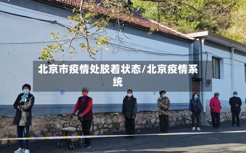 北京市疫情处胶着状态/北京疫情系统