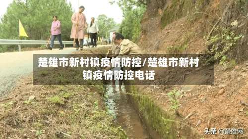楚雄市新村镇疫情防控/楚雄市新村镇疫情防控电话