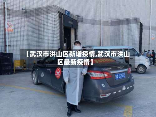 【武汉市洪山区新增疫情,武汉市洪山区最新疫情】-第3张图片