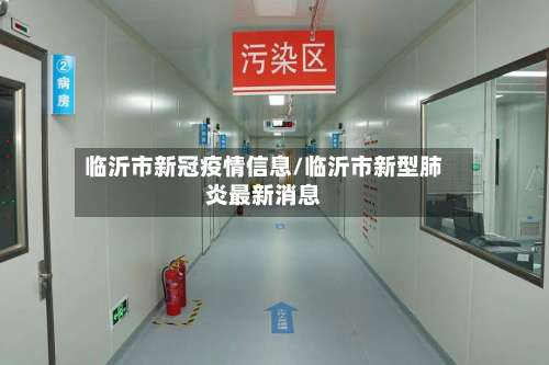 临沂市新冠疫情信息/临沂市新型肺炎最新消息-第3张图片