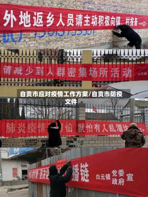 自贡市应对疫情工作方案/自贡市防疫文件