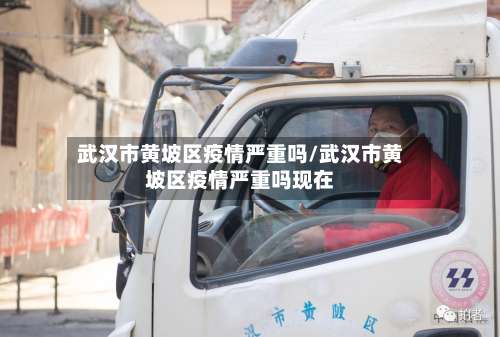 武汉市黄坡区疫情严重吗/武汉市黄坡区疫情严重吗现在