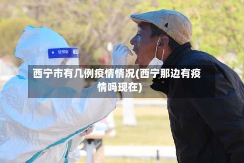 西宁市有几例疫情情况(西宁那边有疫情吗现在)