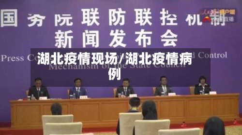 湖北疫情现场/湖北疫情病例-第2张图片