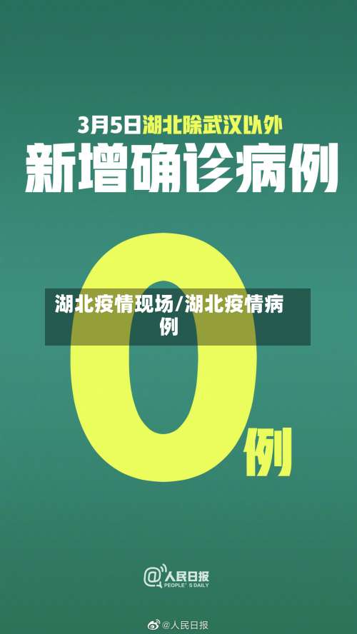 湖北疫情现场/湖北疫情病例-第1张图片