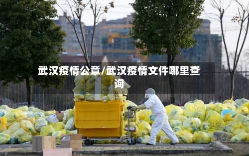 武汉疫情公章/武汉疫情文件哪里查询