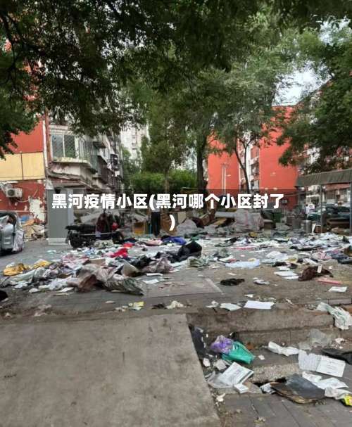 黑河疫情小区(黑河哪个小区封了)