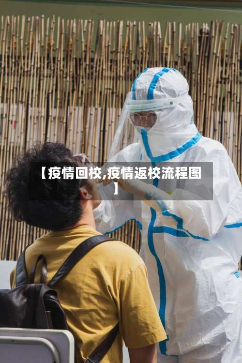 【疫情回校,疫情返校流程图】