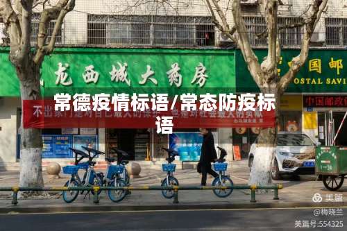 常德疫情标语/常态防疫标语