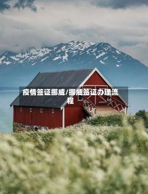 疫情签证挪威/挪威签证办理流程-第2张图片