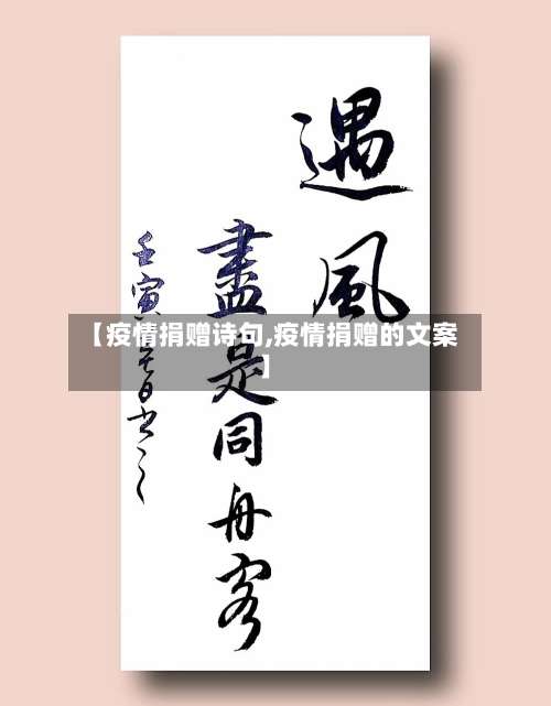 【疫情捐赠诗句,疫情捐赠的文案】-第2张图片