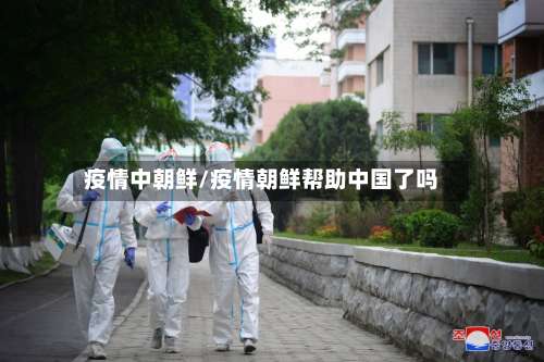 疫情中朝鲜/疫情朝鲜帮助中国了吗-第2张图片